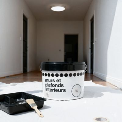 Peinture murs et plafonds blanc satin 2,5L