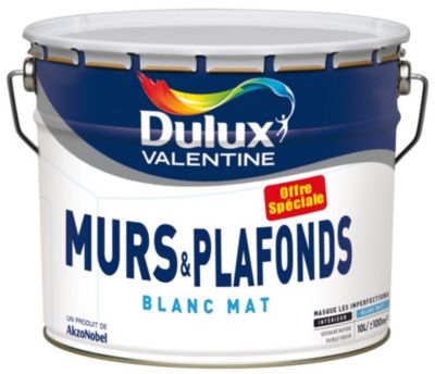 Peinture extérieure façade Ecran+ ms DULUX VALENTINE blanc mat 10l