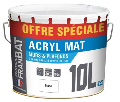 Peinture murs et plafonds blanc mat 10L