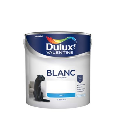 Dulux Valentine Blanc Mat