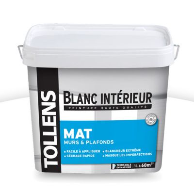 Peinture murs et plafonds TOLLENS blanc intérieur mat 5L