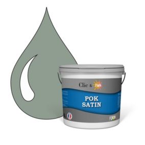 Peinture murs intérieurs satinée- Cuisine & Salle de bain POK SATIN - Aloé Verra 50m² - 5L