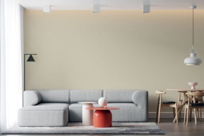 Peinture murs intérieurs satinée- Cuisine & Salle de bain POK SATIN - Vanille 25m² - 2,5L