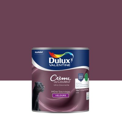 Peinture murs, plafonds, boiseries et radiateur rose mûre sauvage velours Dulux Valentine Crème de couleur 0.5 L