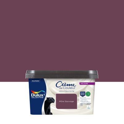 Peinture murs, plafonds, boiseries et radiateur rose mûre sauvage velours Dulux Valentine Crème de couleur 2.25 L