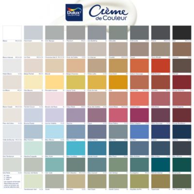 Peinture murs, plafonds, boiseries et radiateurs noir velours Dulux Valentine Crème de couleur 2.25 L