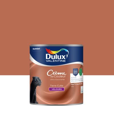 Peinture murs, plafonds, boiseries et radiateurs orange terre cuite ...
