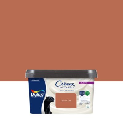 Peinture murs, plafonds, boiseries et radiateurs orange terre cuite ...
