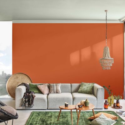 Peinture murs, plafonds, boiseries et radiateurs orange terre cuite ...