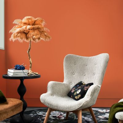 Peinture murs, plafonds, boiseries et radiateurs orange terre cuite ...
