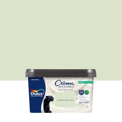Peinture murs, plafonds, boiseries et radiateurs tendrement vert satin Dulux Valentine Crème de couleur 2.25 L