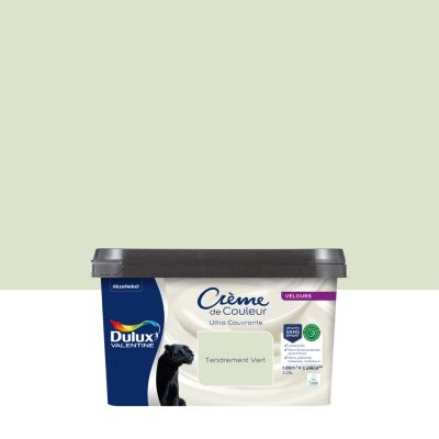 Peinture murs, plafonds, boiseries et radiateurs tendrement vert velours Dulux Valentine Crème de couleur 2.25 L