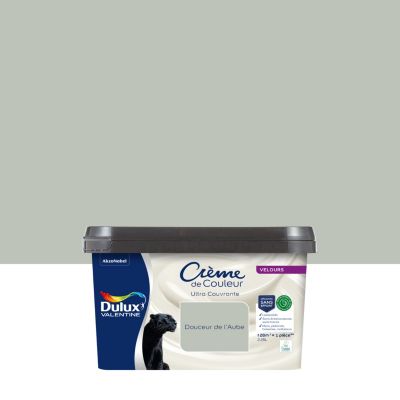 Peinture murs, plafonds, boiseries et radiateurs vert douceur de l'aube velours Dulux Valentine Crème de couleur 2.25 L
