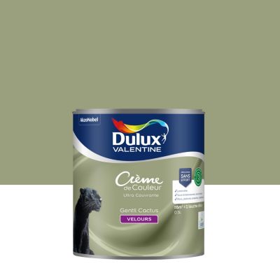 Peinture murs, plafonds, boiseries et radiateurs vert gentil cactus satin Dulux Valentine Crème de couleur 0.5 L