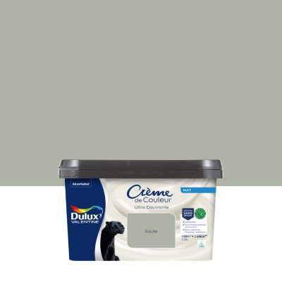 Peinture murs, plafonds, boiseries et radiateurs vert saule mat Dulux Valentine Crème de couleur 2.25 L