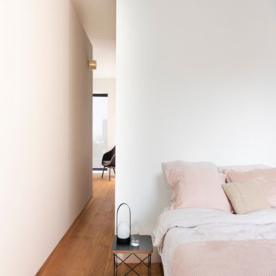 Peinture murs plafonds et boiseries Dulux Valentine 98% monocouche mat blanc 10L +20% gratuit
