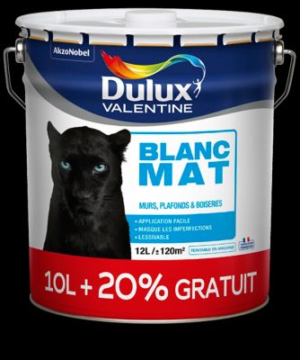 Peinture Murs Plafonds Et Boiseries Dulux Valentine Blanc Mat 10l Gratuit Castorama