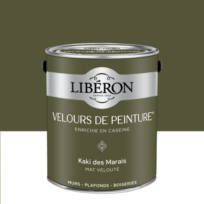 Peinture murs, plafonds et boiseries kaki des marais Libéron Velours de peinture 2,5 L