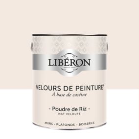 Peinture mur et plafond noir smoking velours LIBÉRON Velours de peinture®  2.5l