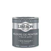 Peinture murs, plafonds et boiseries Velours de peinture gris gravure Liberon 0,5L
