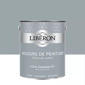 Peinture murs, plafonds et boiseries Velours de peinture gris gustave III Liberon 2,5L