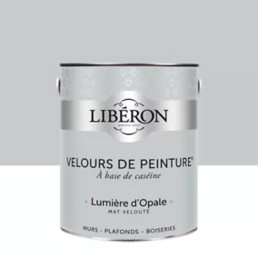 Peinture murs, plafonds et boiseries Velours de peinture gris lumiere d'opale Liberon 2,5L