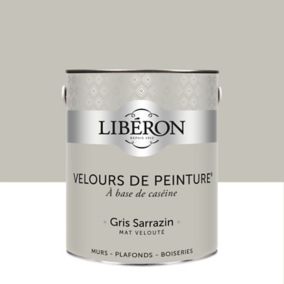 Peinture murs, plafonds et boiseries Velours de peinture gris sarrazin Liberon 2,5L