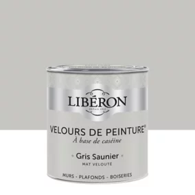 Peinture murs, plafonds et boiseries Velours de peinture gris saunier Liberon 0,5L
