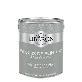 Peinture murs, plafonds et boiseries Velours de peinture gris temps de pluie Liberon 2,5L