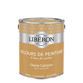 Peinture murs, plafonds et boiseries Velours de peinture jaune calisson Liberon 2,5L