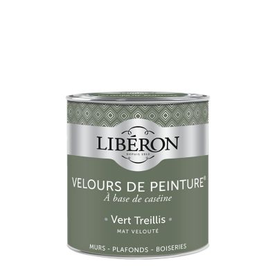 Peinture murs, plafonds et boiseries Velours de peinture vert treillis Liberon 0,5L