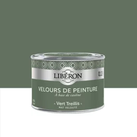 Peinture murs, plafonds et boiseries Velours de peinture vert treillis Liberon 125 ml