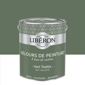 Peinture murs, plafonds et boiseries Velours de peinture vert treillis Liberon 2,5L
