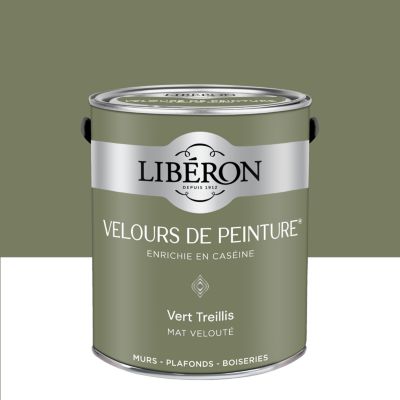 Peinture murs, plafonds et boiseries vert treillis Libéron Velours de peinture 2.5 L