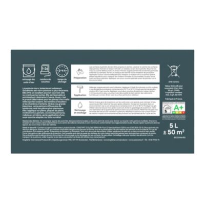 Peinture murs, plafonds et radiateurs GoodHome blanc lumineux satin 5L