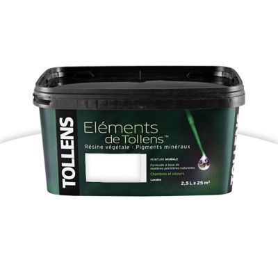 Peinture Naturelle Murale Blanc Camargue Mat 2 5l Castorama