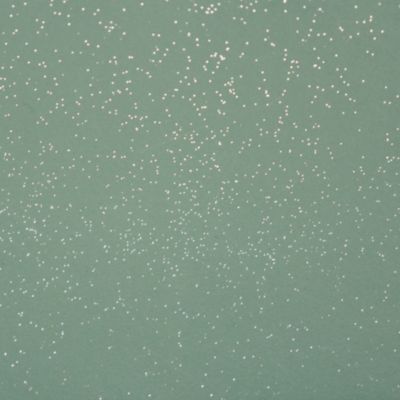 Peinture pailletée Jungle Paillettes Richard crocodile 2 L