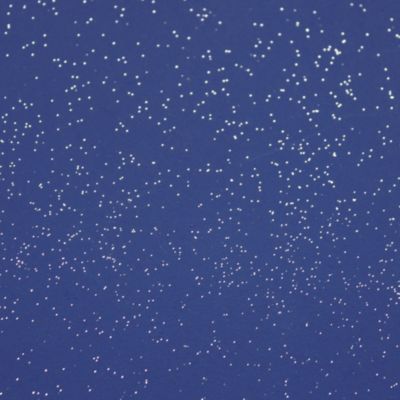 Peinture pailletée Jungle Paillettes Richard geai bleu 2 L