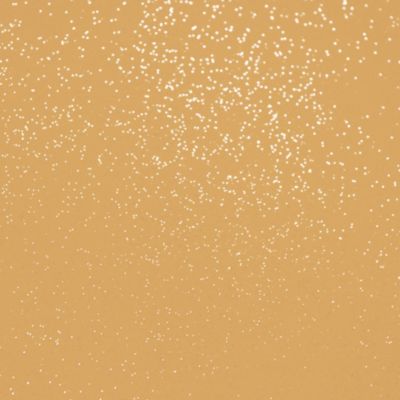 Peinture pailletée Jungle Paillettes Richard orang-outan 2 L