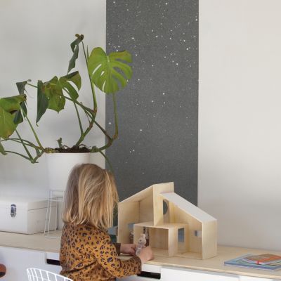 Peinture pailletée murs, plafonds et boiseries Moonlight Maison Déco constellation 2L