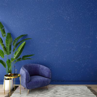 Peinture paillette saphir quartz 2L richard colorants