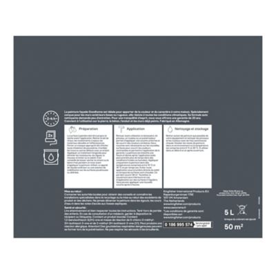 Peinture peinture façade conditions extrêmes GoodHome mat lisse base C 5L