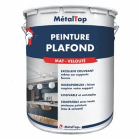 Peinture Plafond - Metaltop -  - Pot 1L