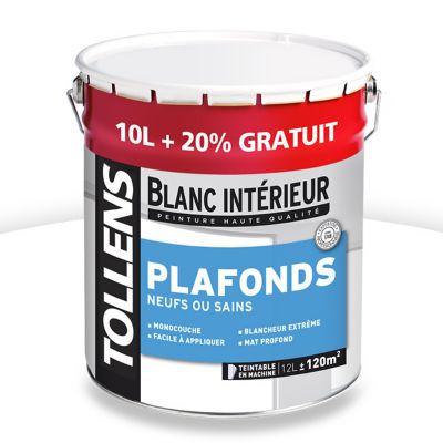 Peindre Plafond Castorama