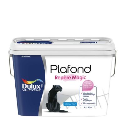 Peindre Plafond Castorama