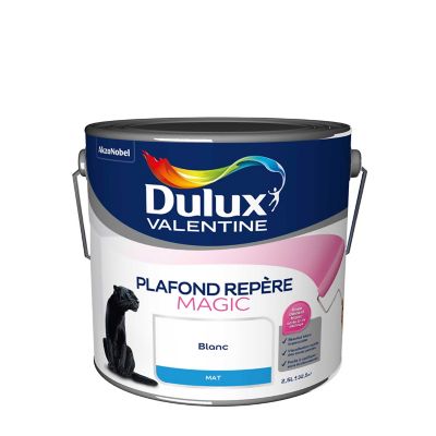 Dulux Valentine Peinture Plafond repère Magic - Application facile - Mat  Blanc 5 L