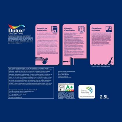 Dulux Valentine Peinture Plafond repère Magic - Application facile - Mat  Blanc 5 L