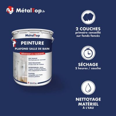 Peinture Plafond Salle De Bain - Gris agate - RAL 7038 - 1 L - Métaltop