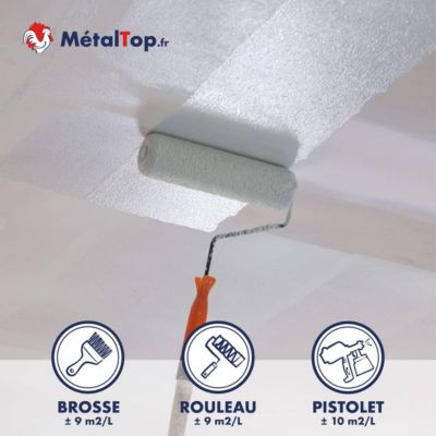 Peinture Plafond Salle De Bain - Gris agate - RAL 7038 - 1 L - Métaltop