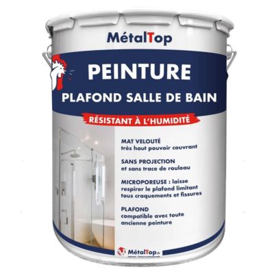 Peinture Plafond Salle De Bain - Gris ardoise - RAL 7015 - 1 L - Métaltop